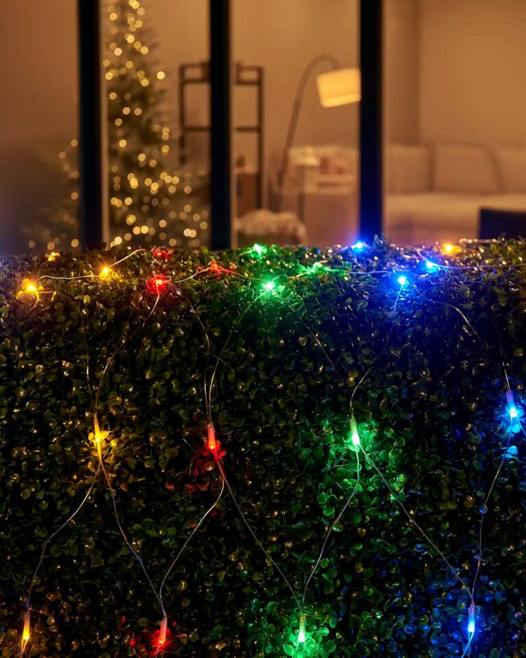 Home Series Connectable Clear Net Lights, 2 m x 2 m, Multi Colour