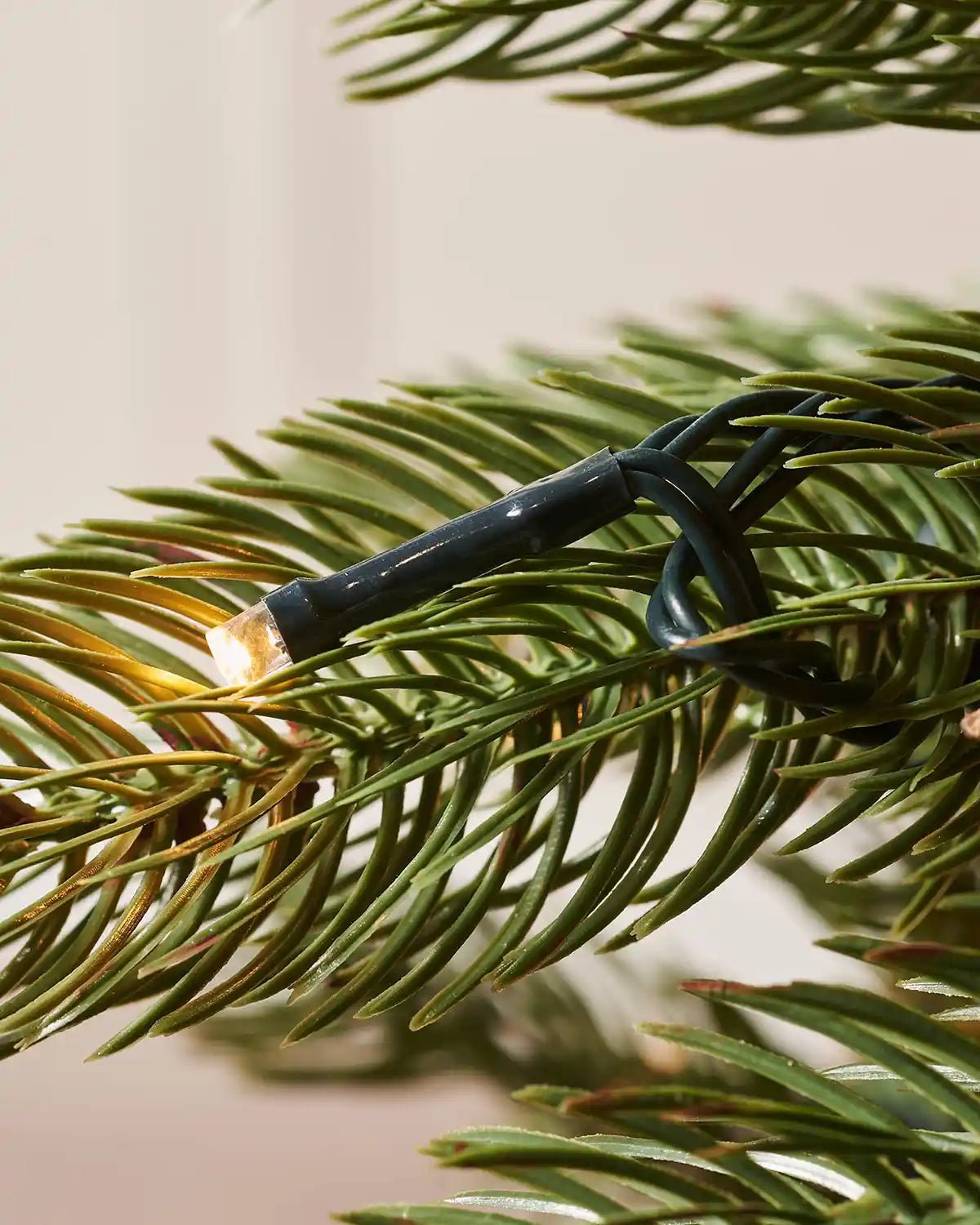 Pre-Lit Crawford Pine Christmas Tree, 5 ft — 5 ft / 1.5 m - Image 3