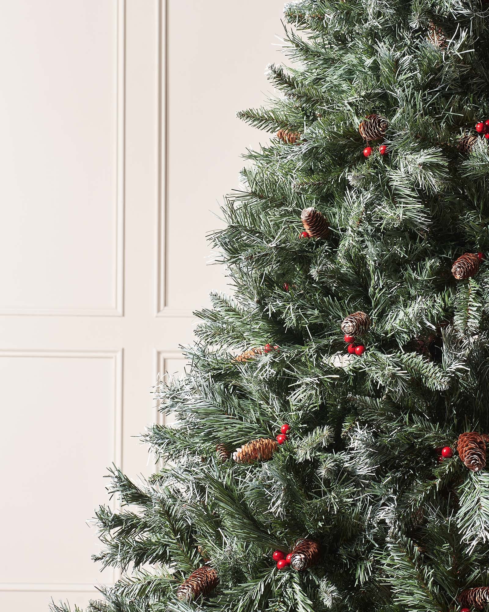 Scandinavian Blue Spruce Christmas Tree, 7 ft — 7 ft / 2.1 m - Image 2