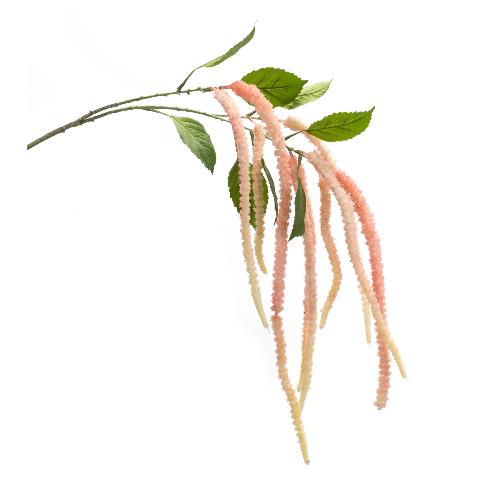 Amaranthus Stem 53.25"H Pink (Set of 4)
