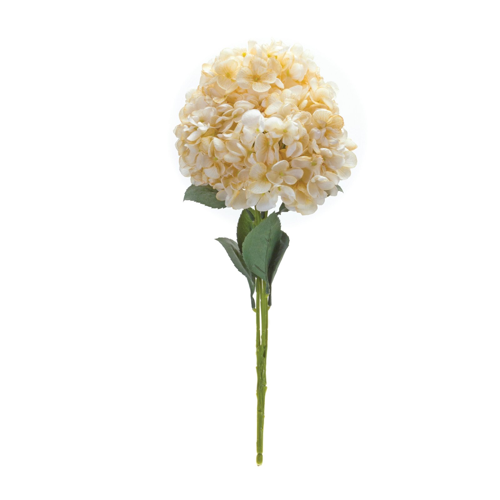Hydrangea Bush 19"H White and Green (Set of 2) - Image 2
