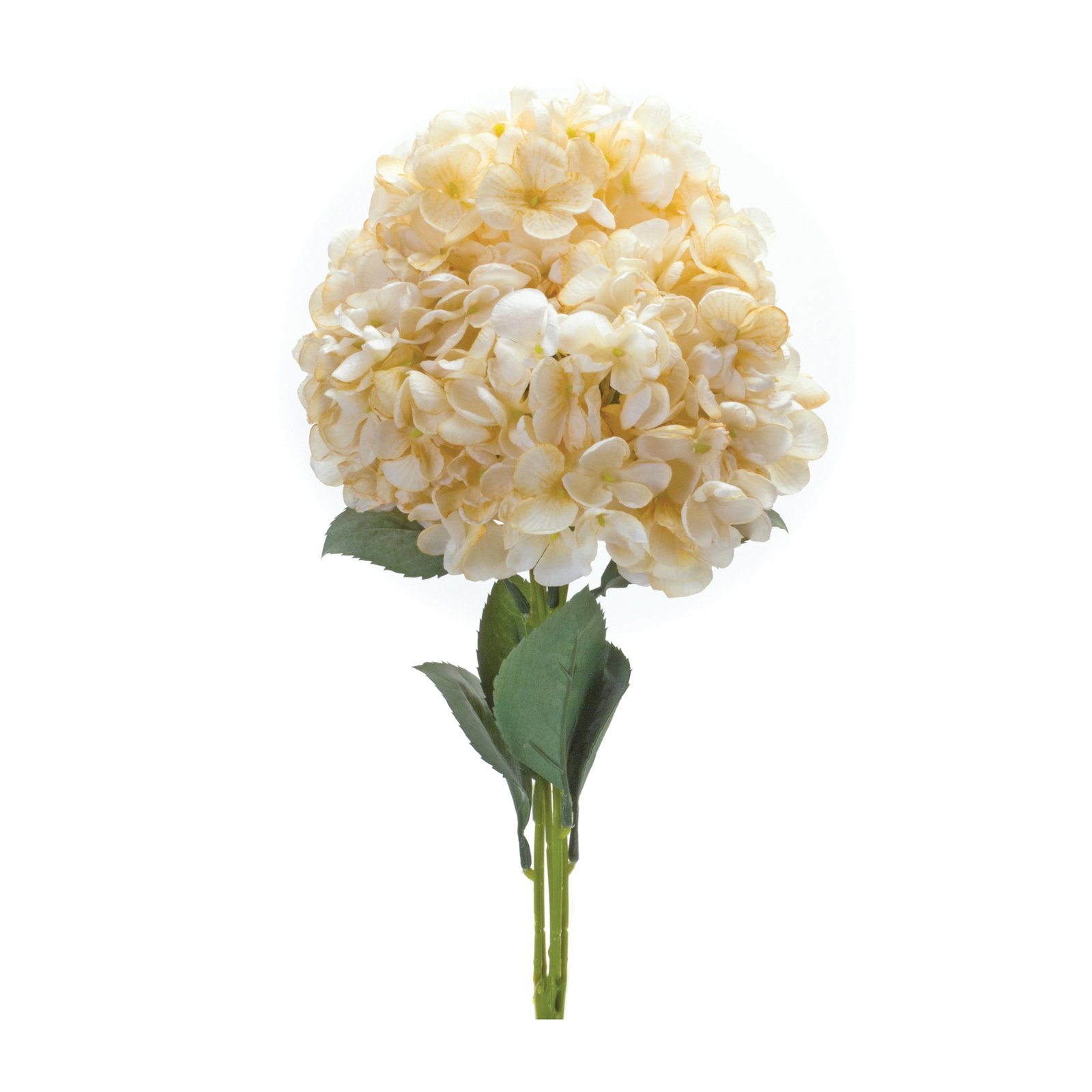 Hydrangea Bush 19"H White and Green (Set of 2)