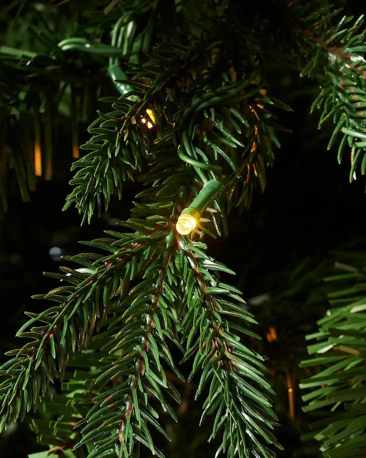 Pre-lit Grand Alaskan Fir Christmas Tree, 8 ft — 8 ft / 2.4 m - Image 3