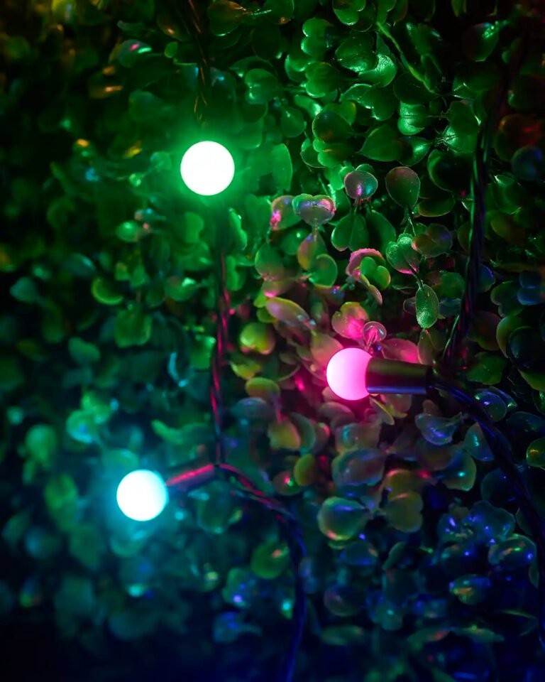 Home Series Connectable Berry Lights, Pastel