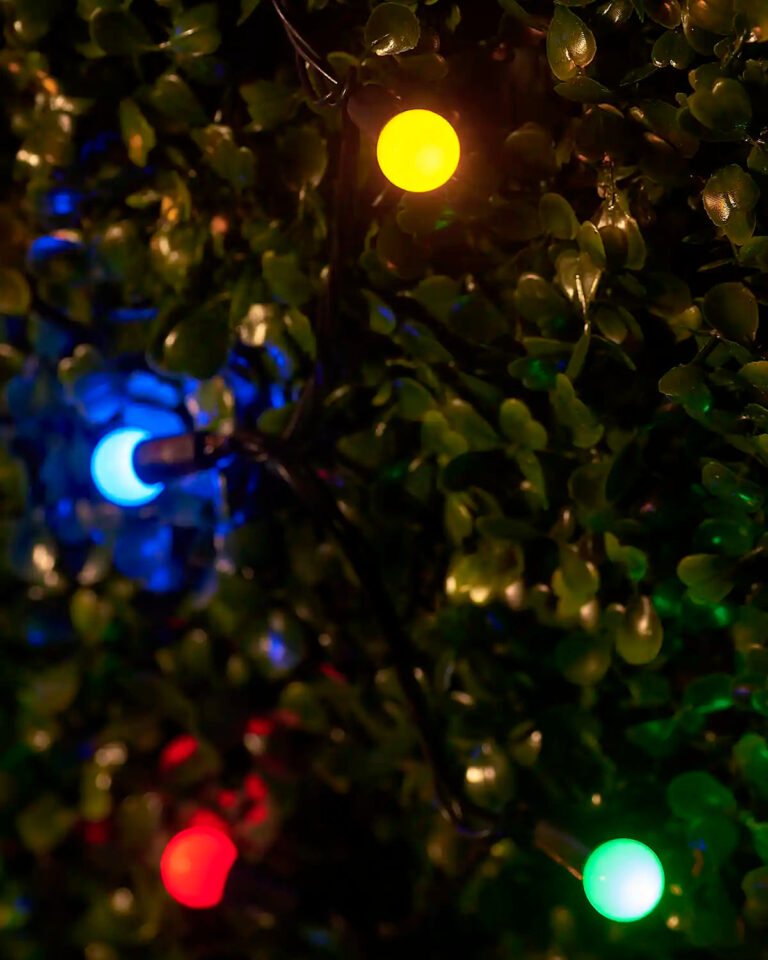 Home Series Connectable Berry Lights, Multi Colour
