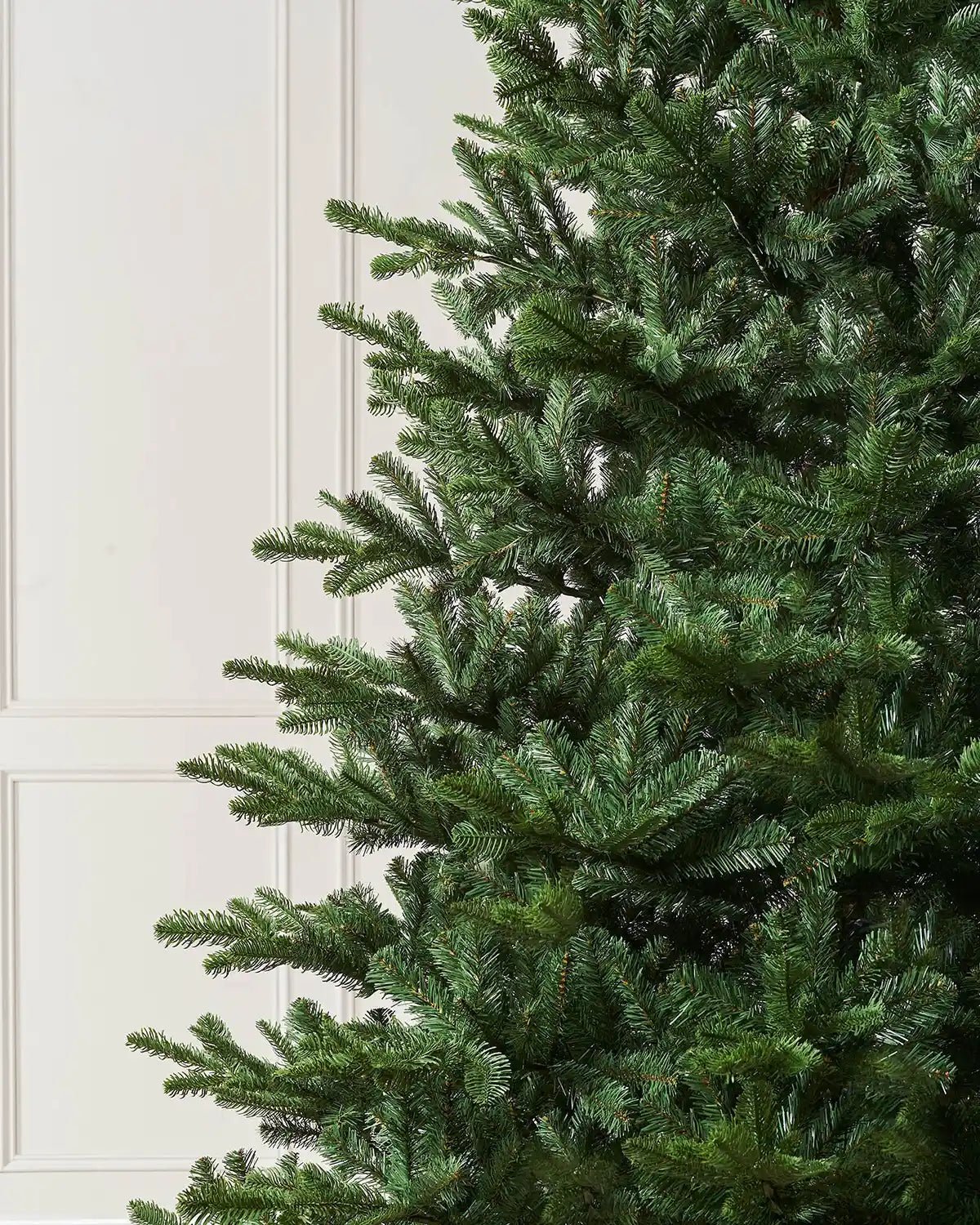 Nordmann Fir Christmas Tree, 9 ft — 9 ft / 2.7 m - Image 3