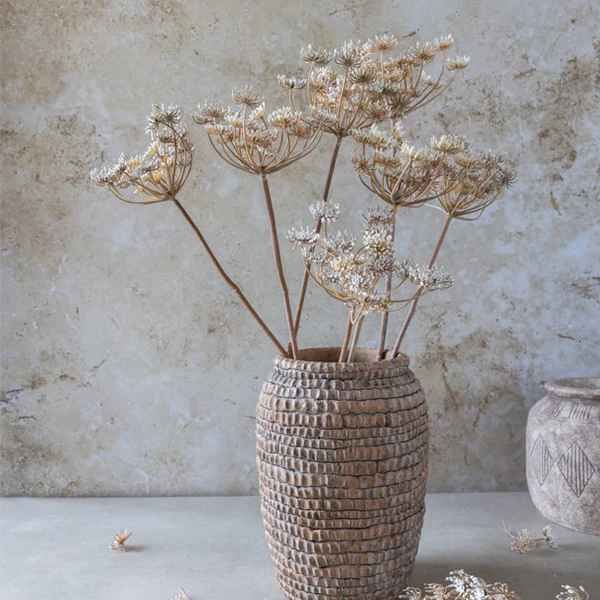 30" Queen Anne's Lace Stem in Soft White Hue