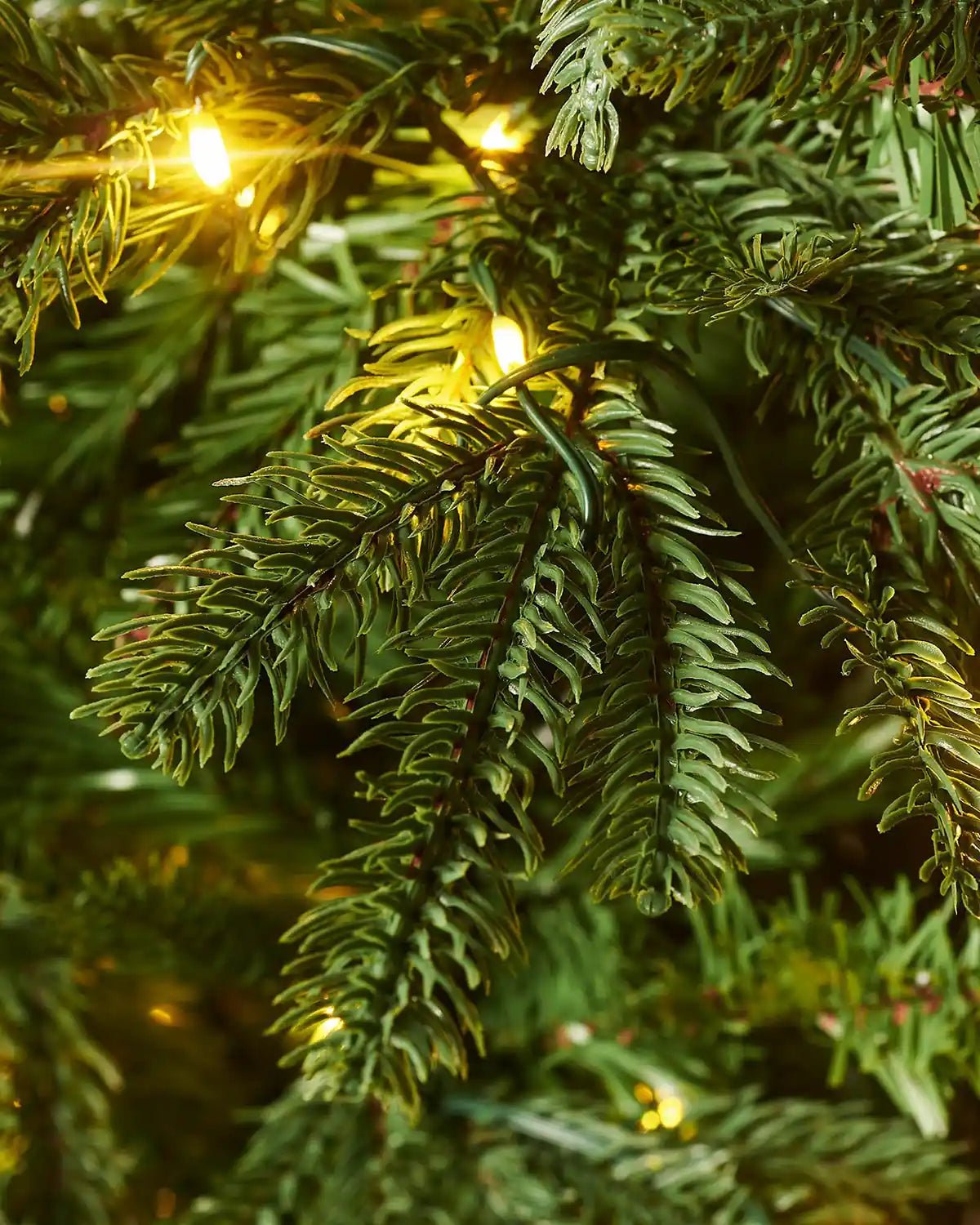 Pre-Lit Grand Nordmann Fir Christmas Tree, 8 ft — 8 ft / 2.4 m - Image 3
