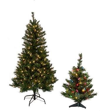 2' Colorado Spruce Tree Clear