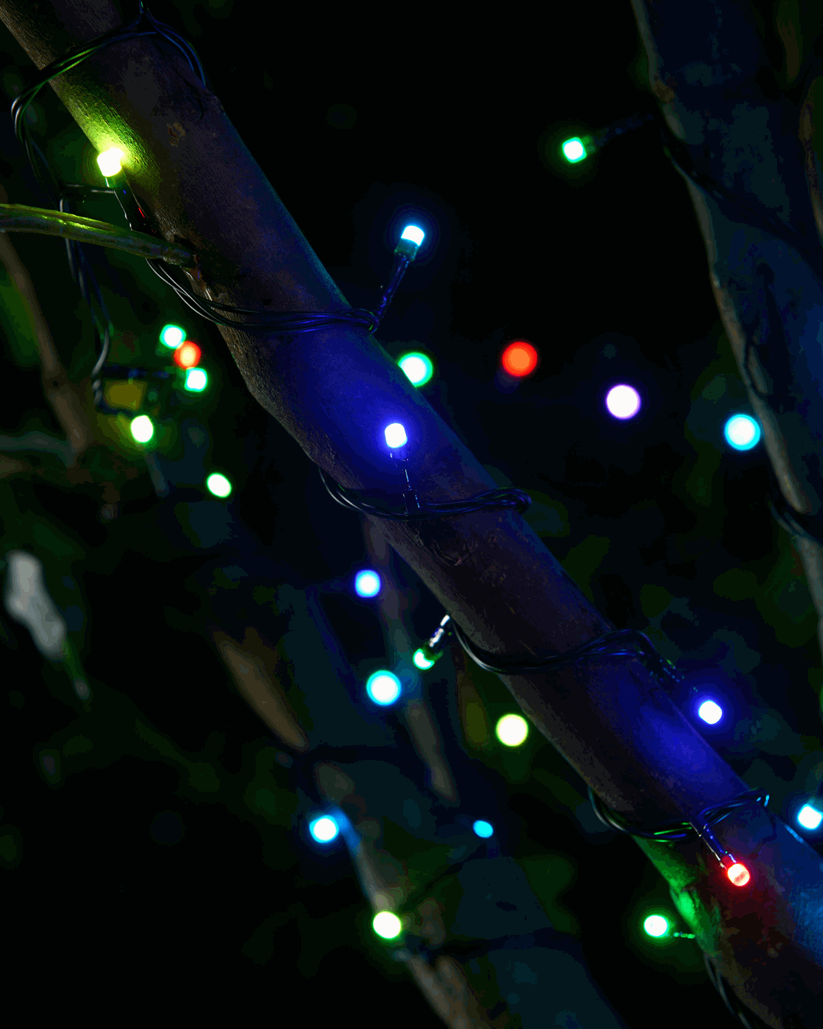 200 LED String Lights, Colour Changing, 15 m