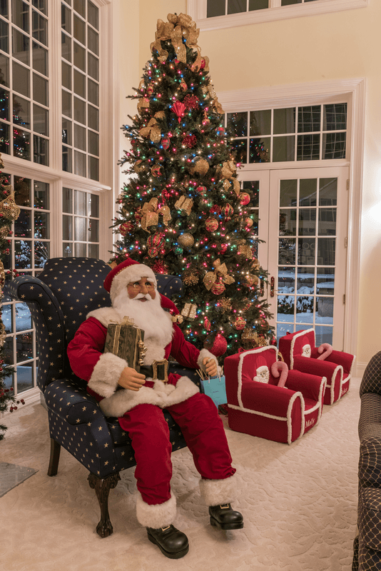 9' Deluxe Geneva Fir Tree - Multi - Image 9