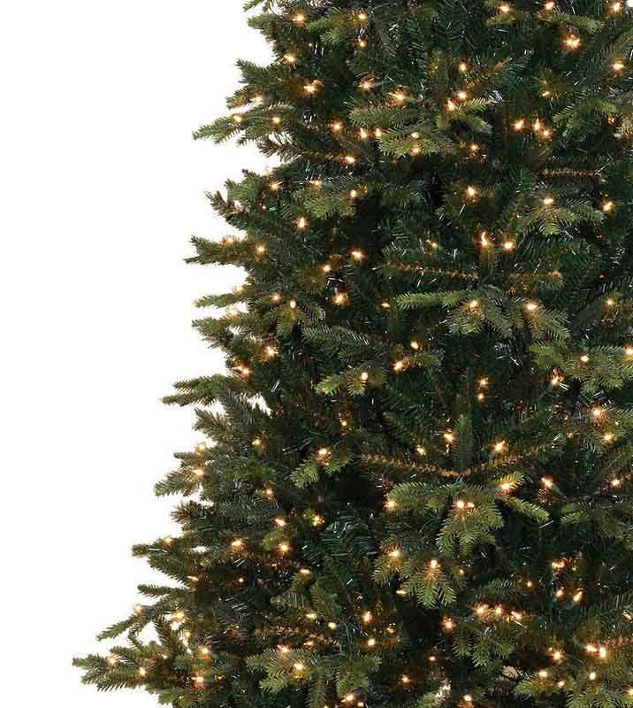 9' Deluxe Geneva Fir Tree - Multi - Image 5
