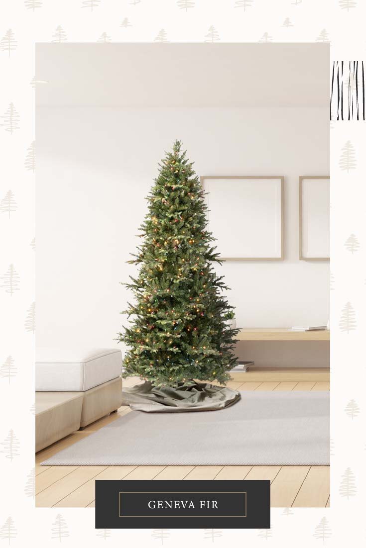 7.5' Geneva Fir Tree - Multi - Image 3