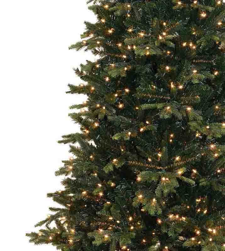 7.5' Geneva Fir Tree - Multi - Image 5