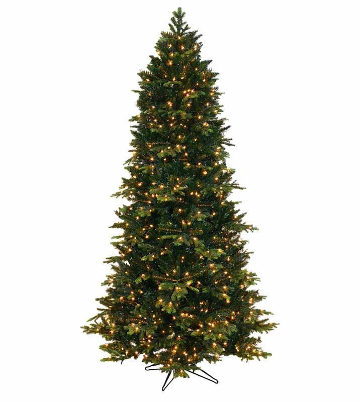 7.5' Geneva Fir Tree - Multi - Image 4