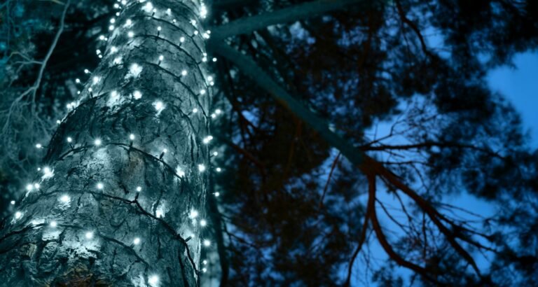 Crownvine Connectable Bright White Fairy Lights - Black Rubber Cable - Multiple Lengths