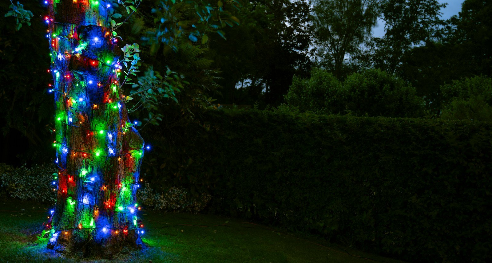 Crownvine Connectable Multicolour Fairy Lights - Black Rubber Cable - Multiple Lengths - Image 6