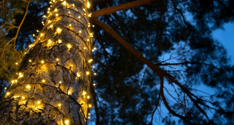 Crownvine Connectable Warm White Fairy Lights - Black Rubber Cable - Multiple Lengths