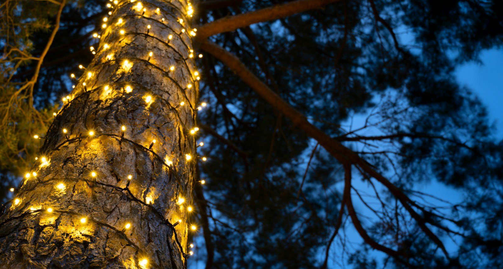 Crownvine Connectable Warm White Fairy Lights - Black Rubber Cable - Multiple Lengths