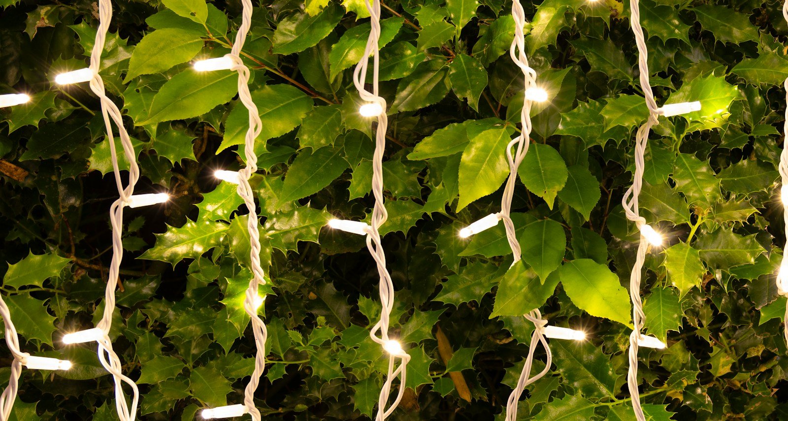Crownvine Warm White Static Curtain Lights � White Rubber Cable (For Crownvine 230V Connectable Lights) - Image 3