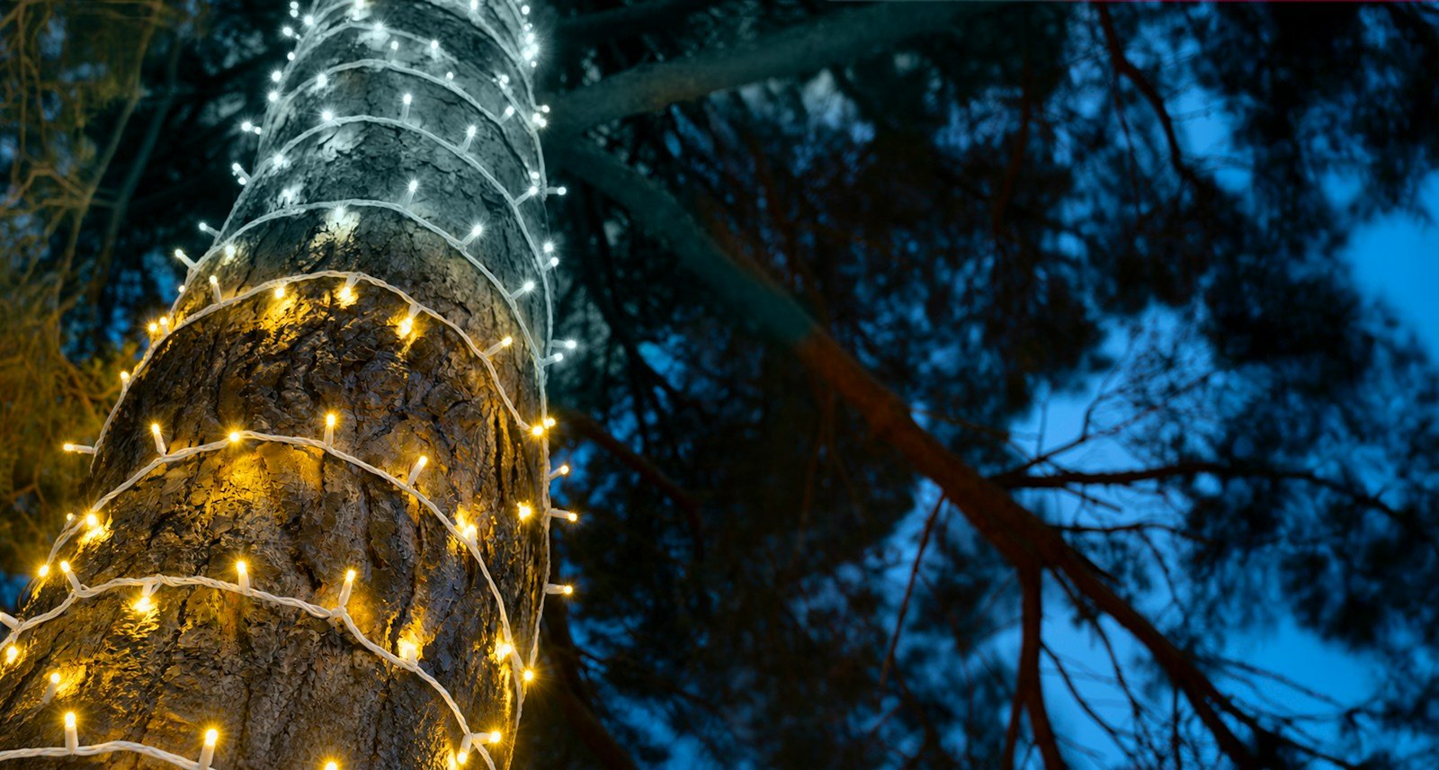 Crownvine Connectable Warm White Fairy Lights - White Rubber Cable - Multiple Lengths
