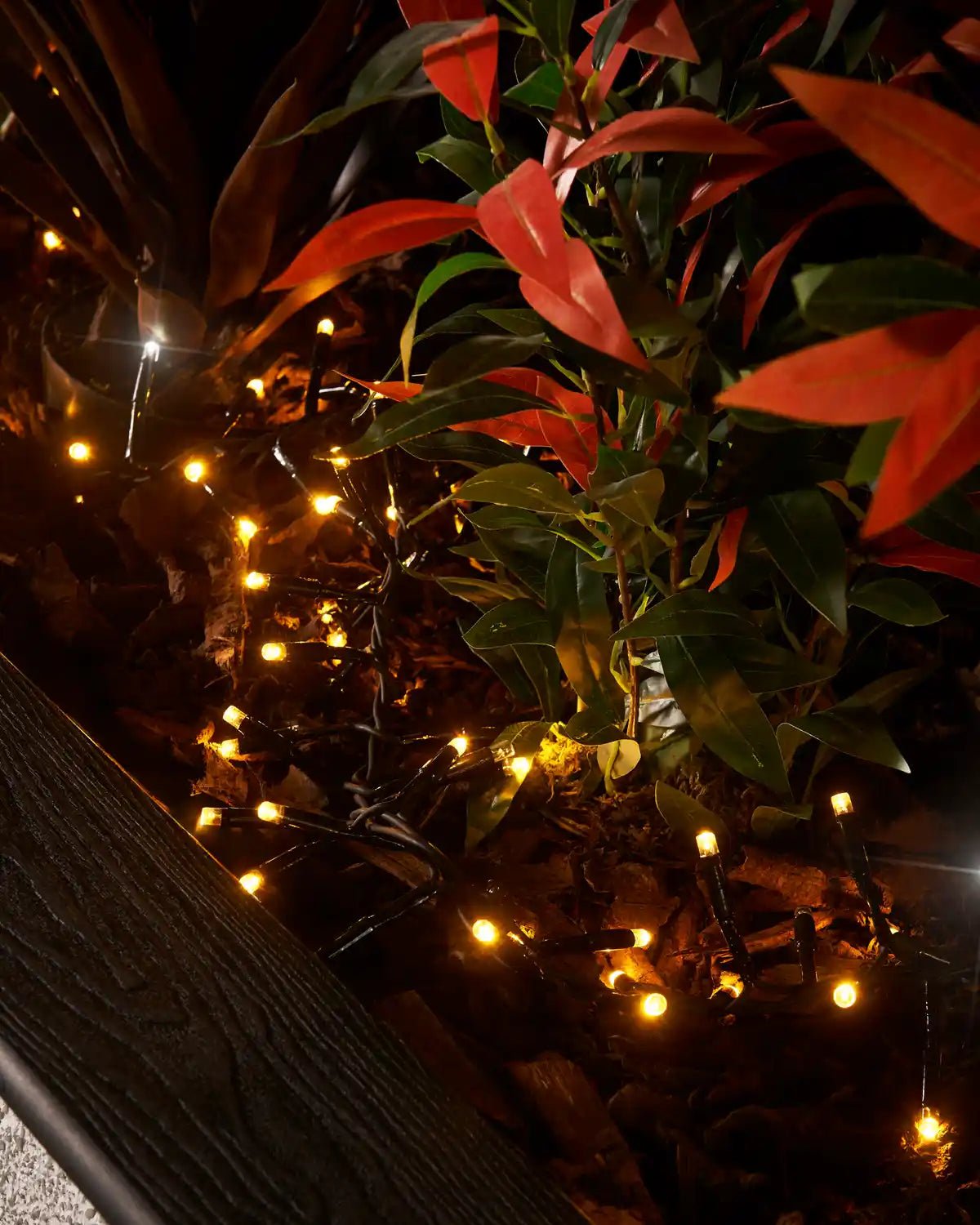 Pro Series Connectable Twinkle Cluster Lights, Warm White / White - Image 3