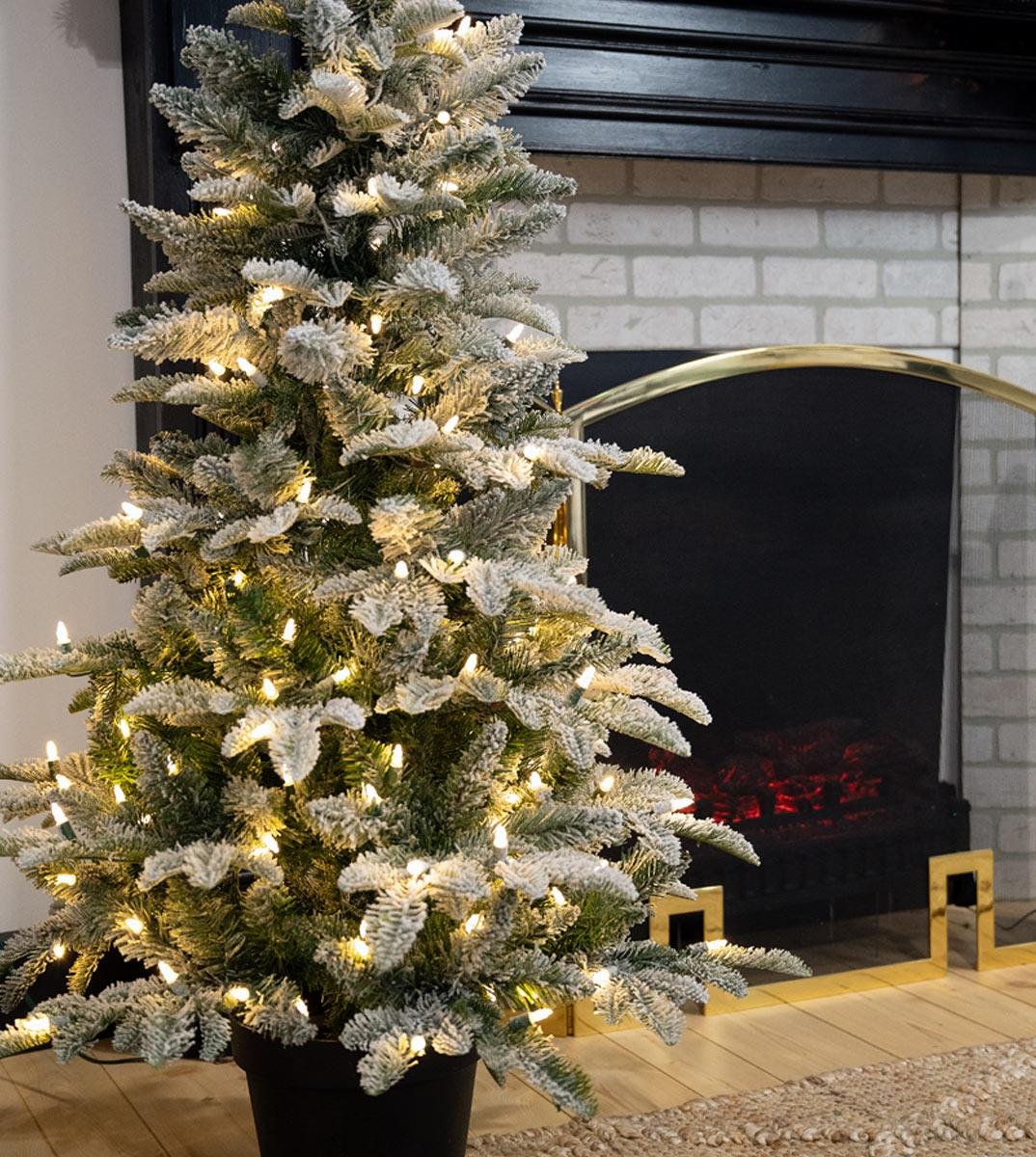 4' Arctic Frasier Potted Tree - Clear LED - Image 5