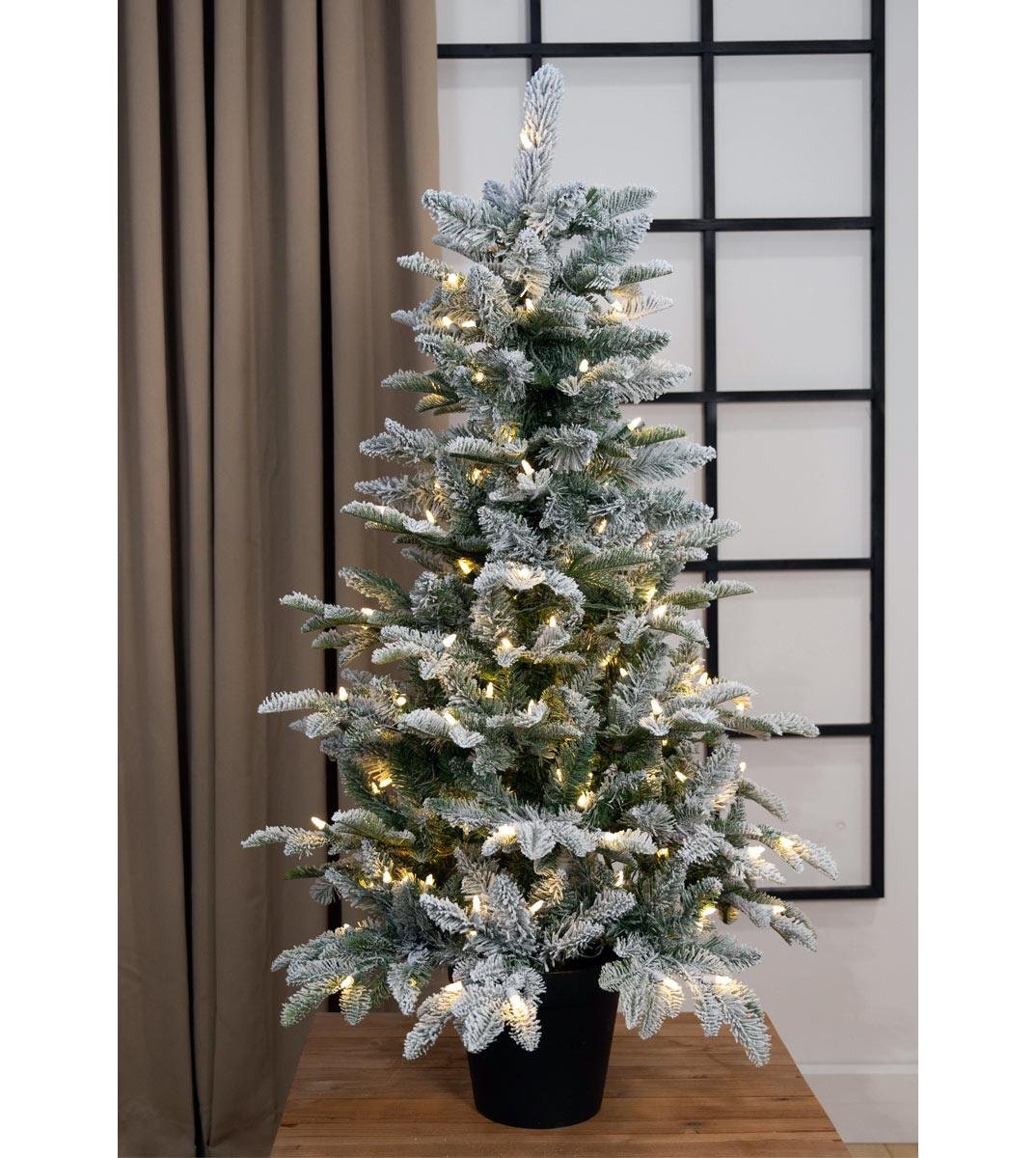4' Arctic Frasier Potted Tree - Clear LED - Image 2