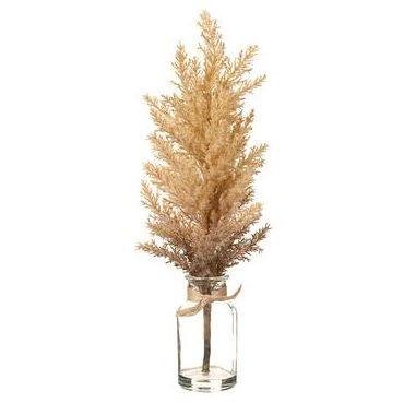 Pampas Grass in Glass Vase