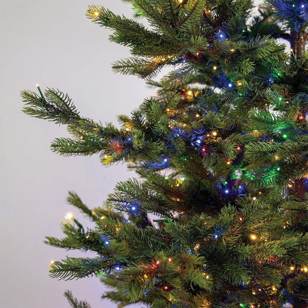 Enchanted White Spruce - Image 7