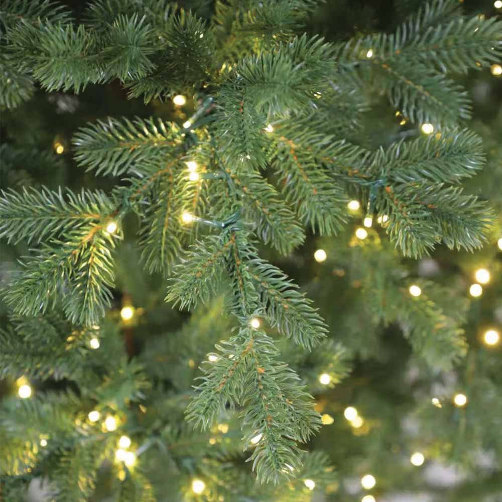 Prestige Pine - Image 3