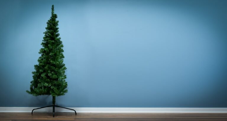 The Arbor Vitae Fir Half Tree (4ft to 6ft)