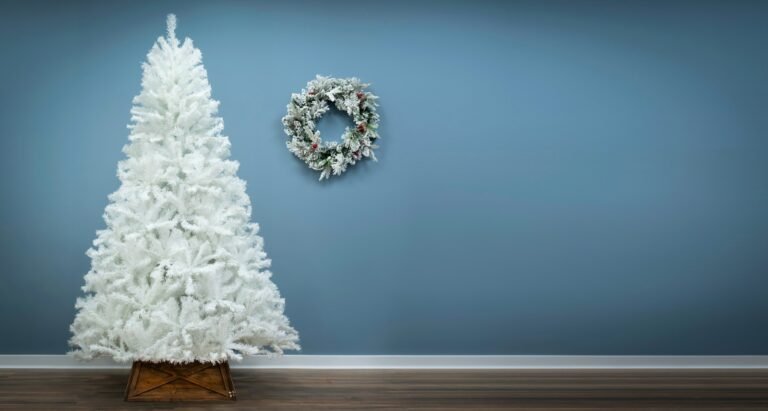 The Bianca Pine Tree (4ft to 8ft)