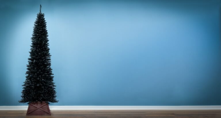 The Black Italian Pencilimo Tree & Bag Bundle