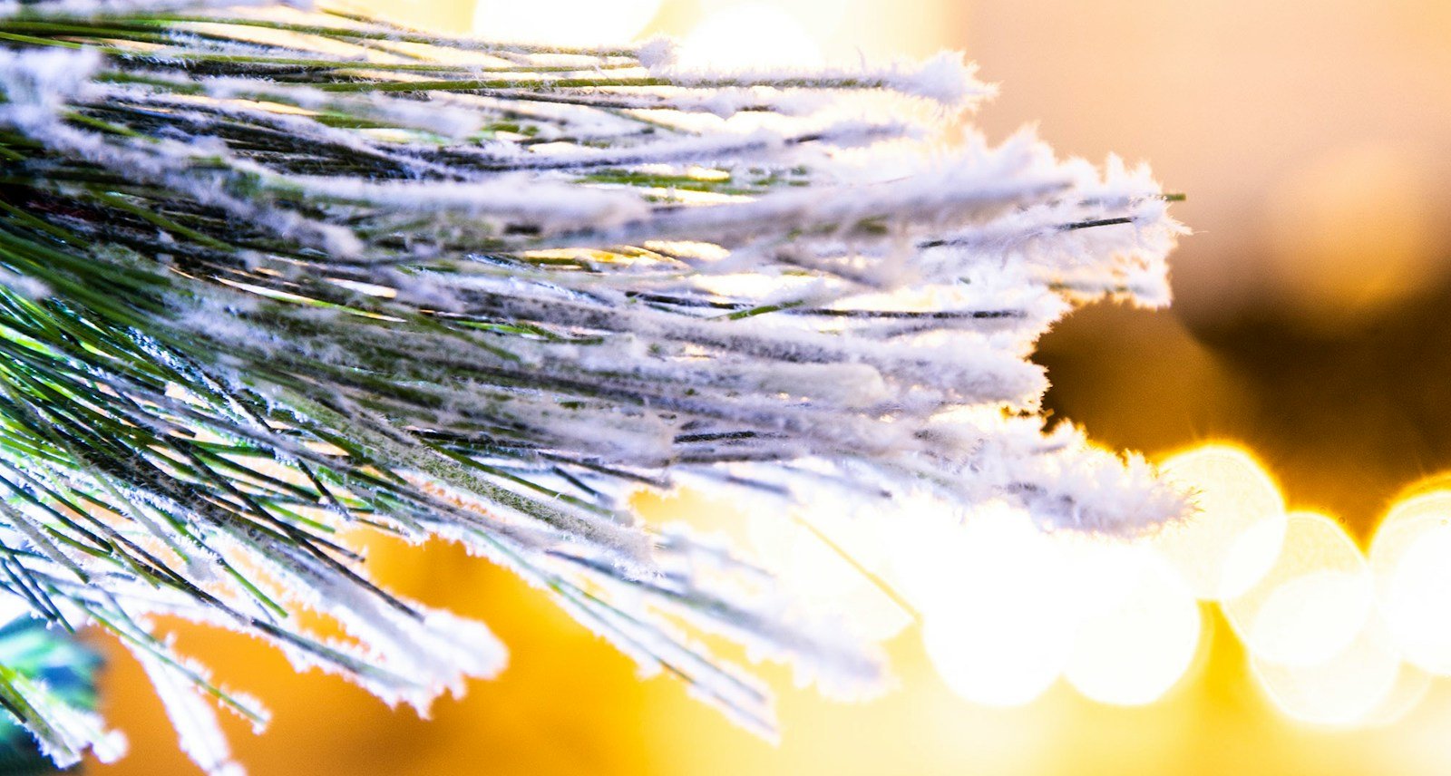 The Snowy LED Frosted Pine Fibre Optic Tree - Image 4
