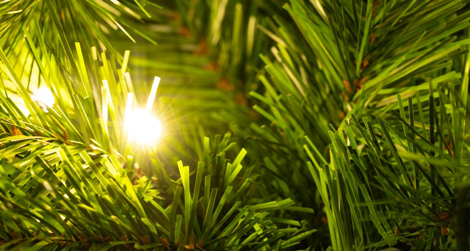 The Pre-lit Ironwood Fir Tree (6ft to 15ft) - Image 9