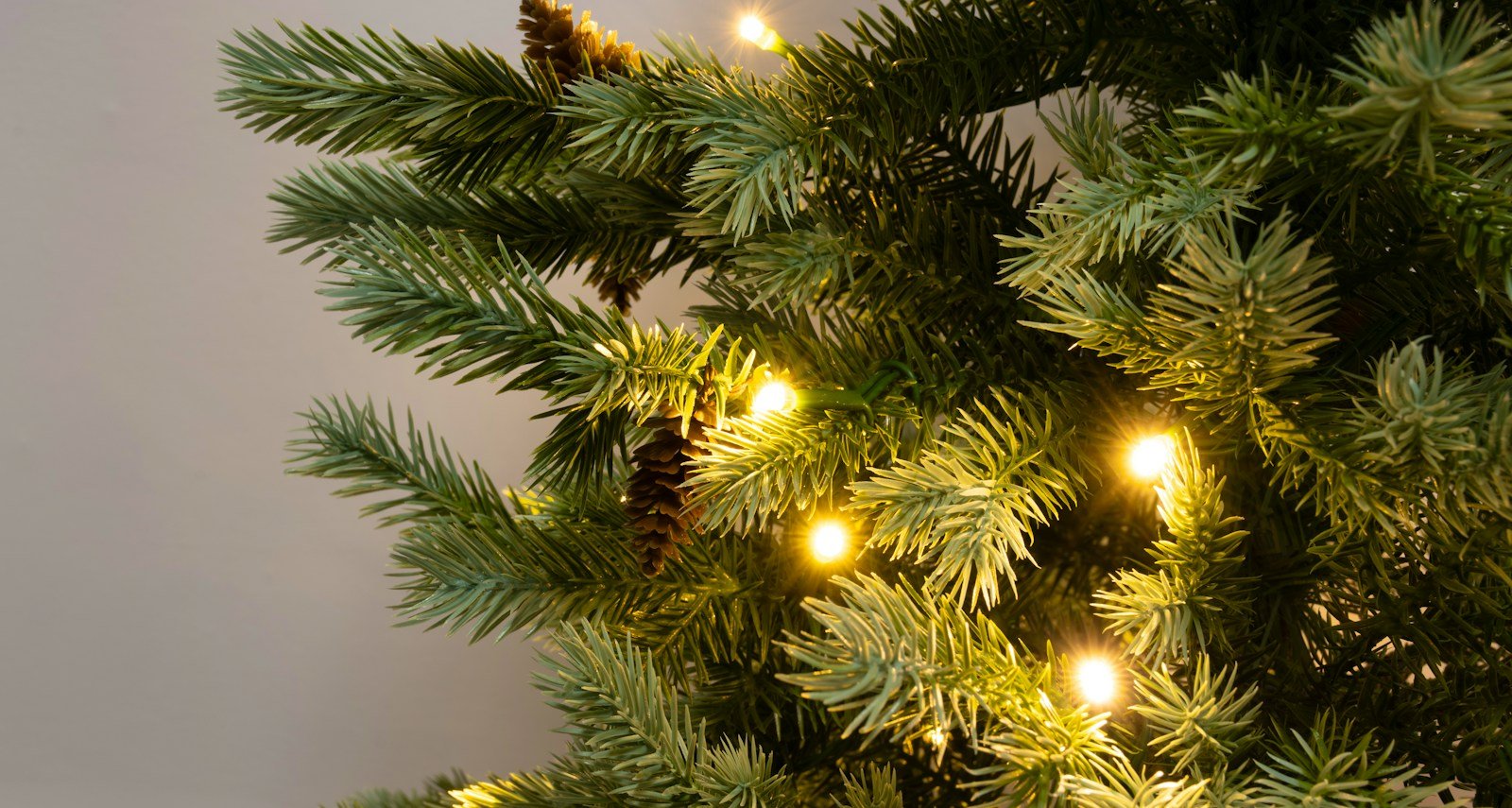 The Pre-lit Cairngorm Pine Potted Tree (3ft to 5ft) - Image 2