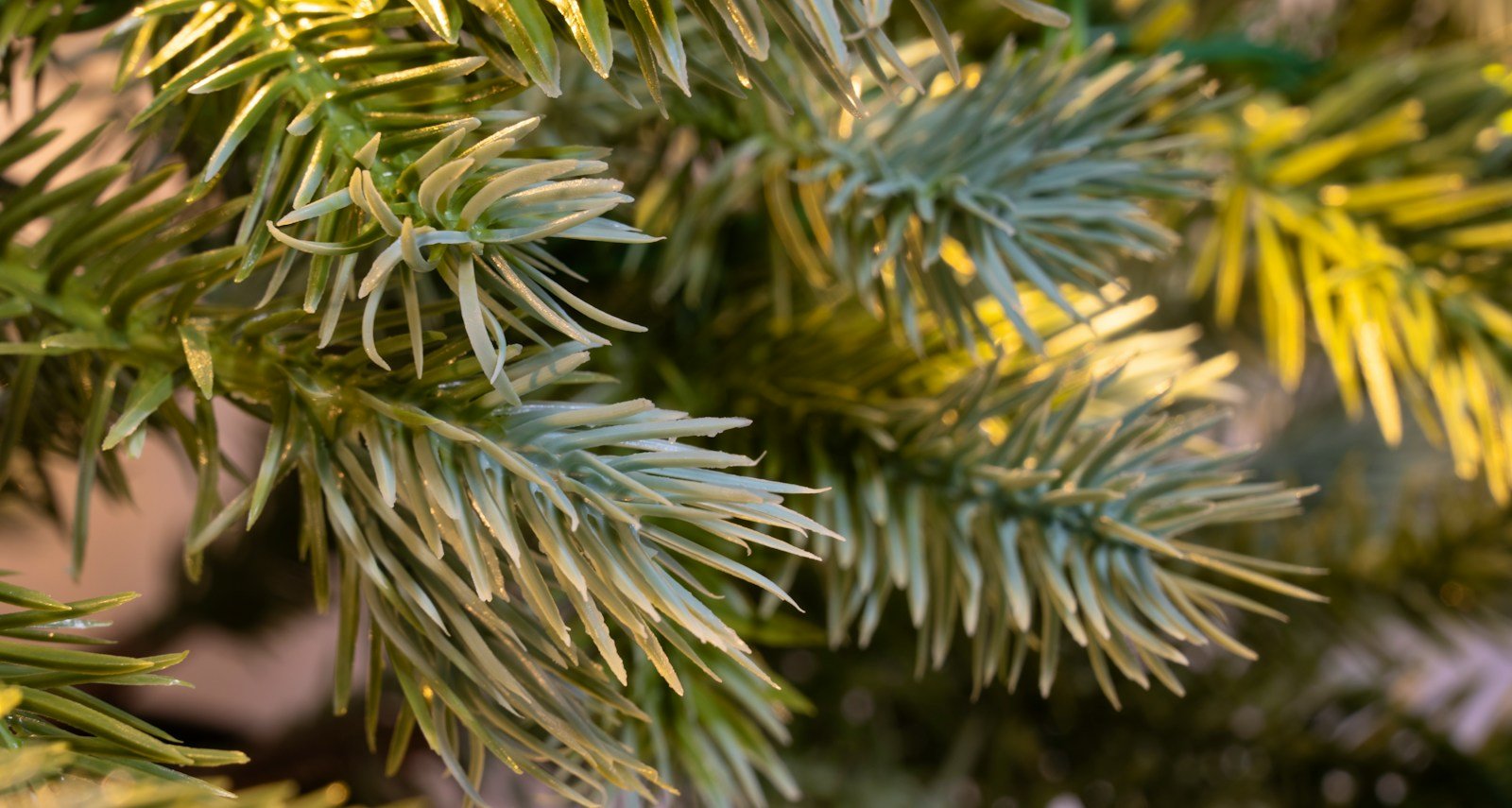 The Pre-lit Cairngorm Pine Potted Tree (3ft to 5ft) - Image 3