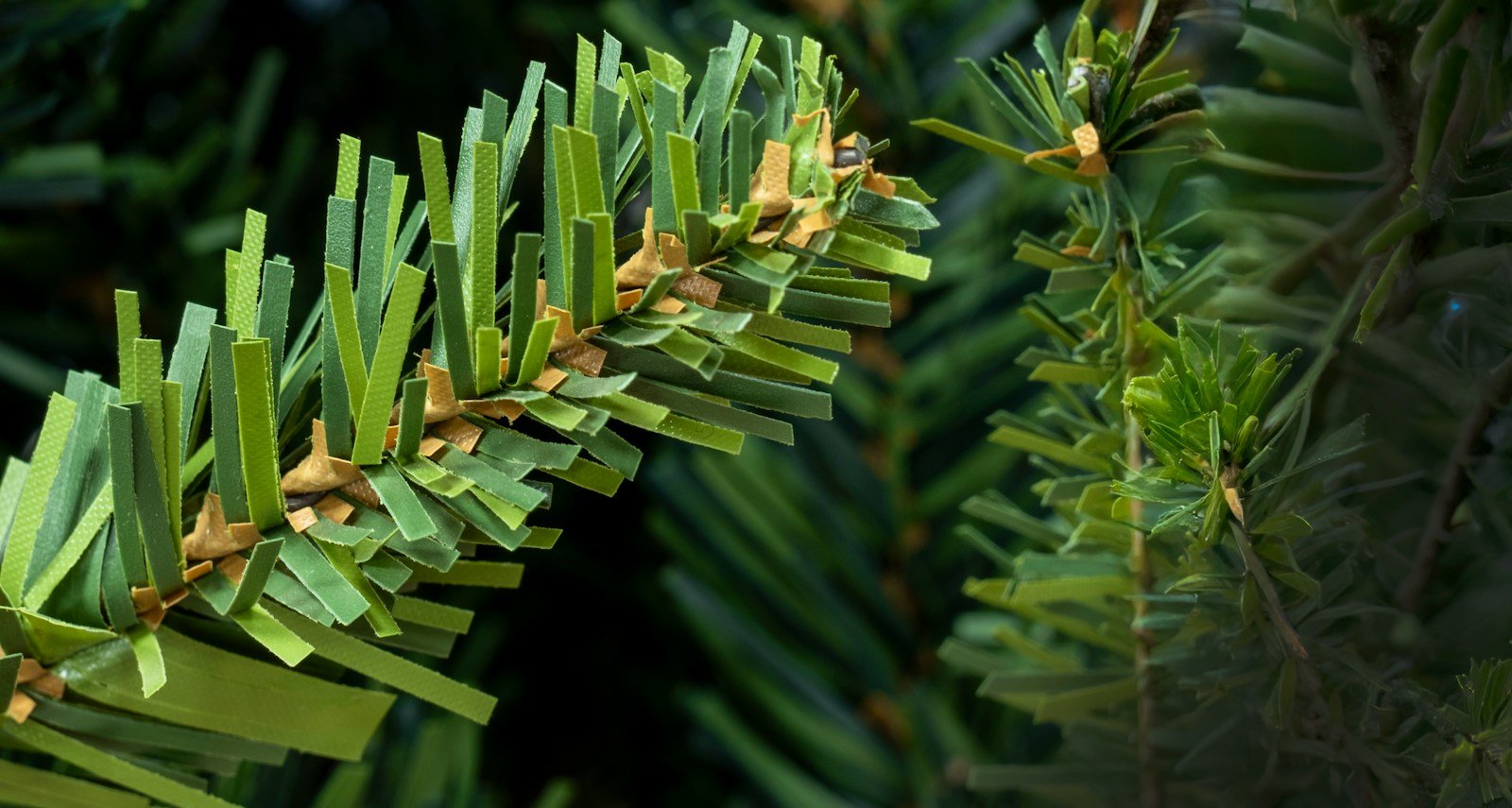 The Slim Mixed Pine Tree (5ft to 8ft) & Bag Bundle - Image 3