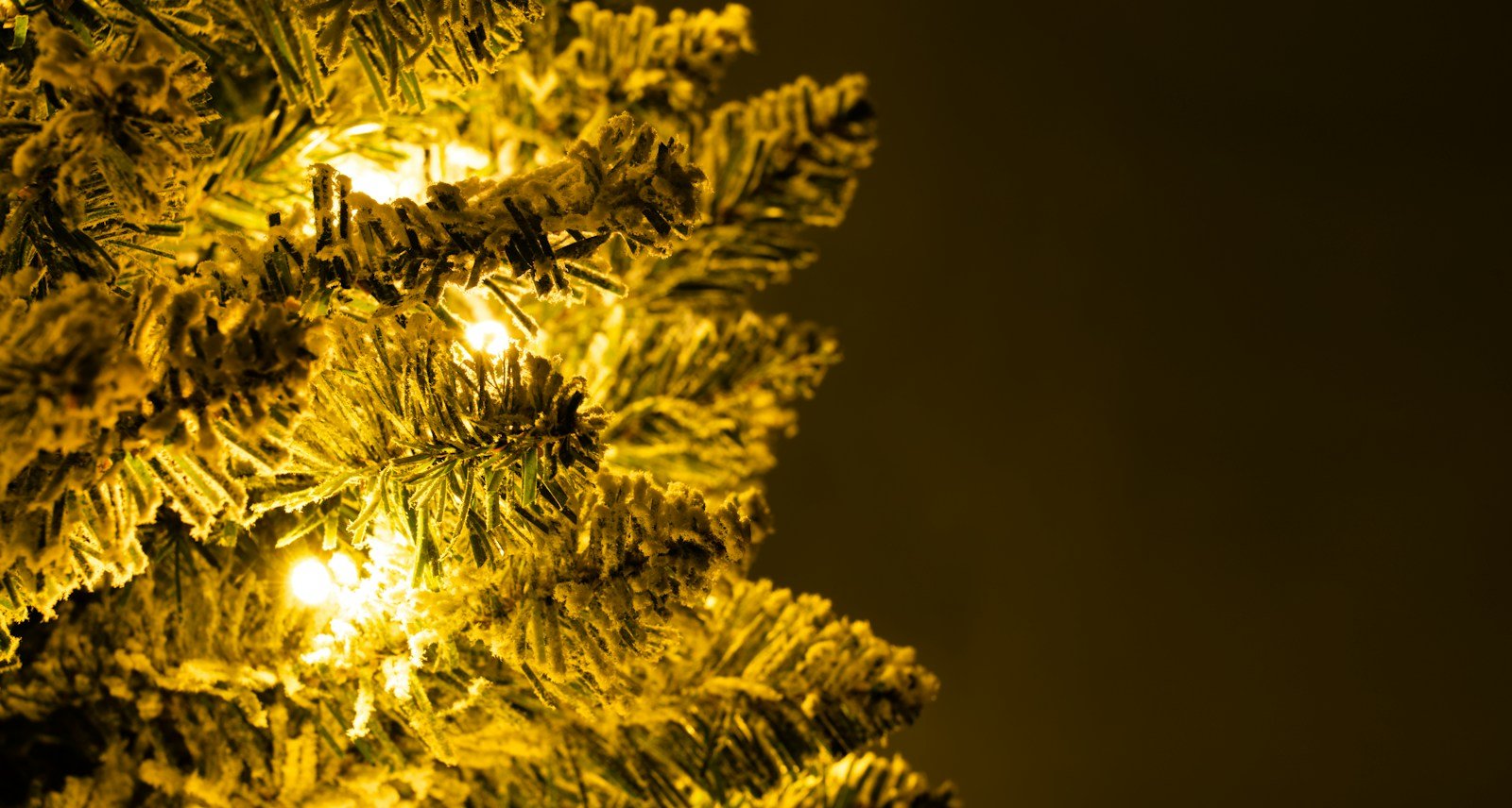 The Pre-lit Snowy Pencil Tree (6ft-7ft) - Image 5
