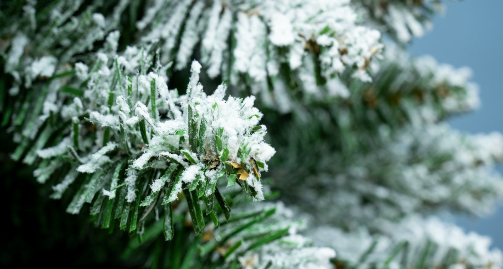 The Pre-lit Snowy Pencil Tree (6ft-7ft) - Image 16