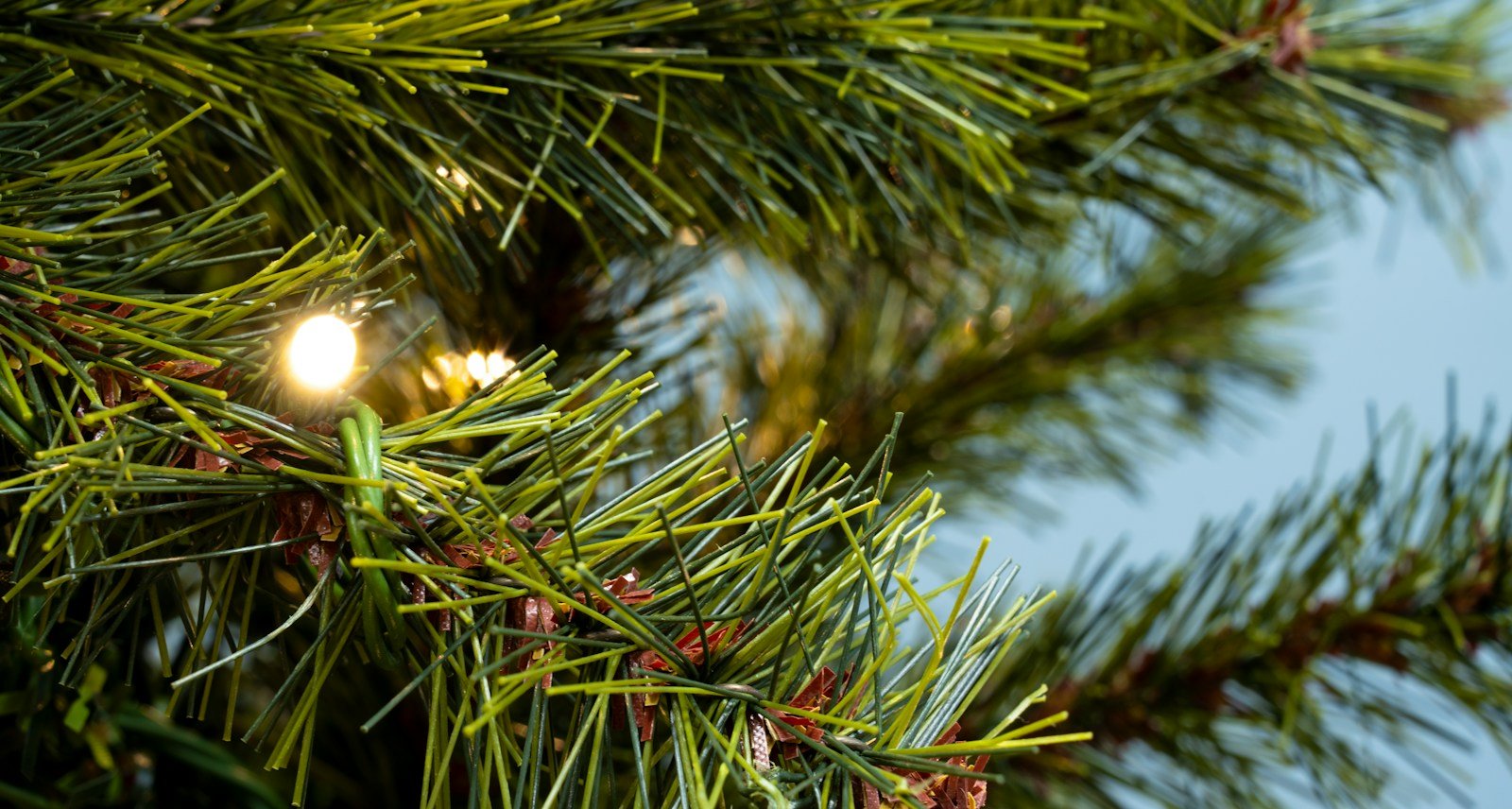 The Pre-lit Slim Wildhorn Pine - Warm White (6ft to 10ft) - Image 7