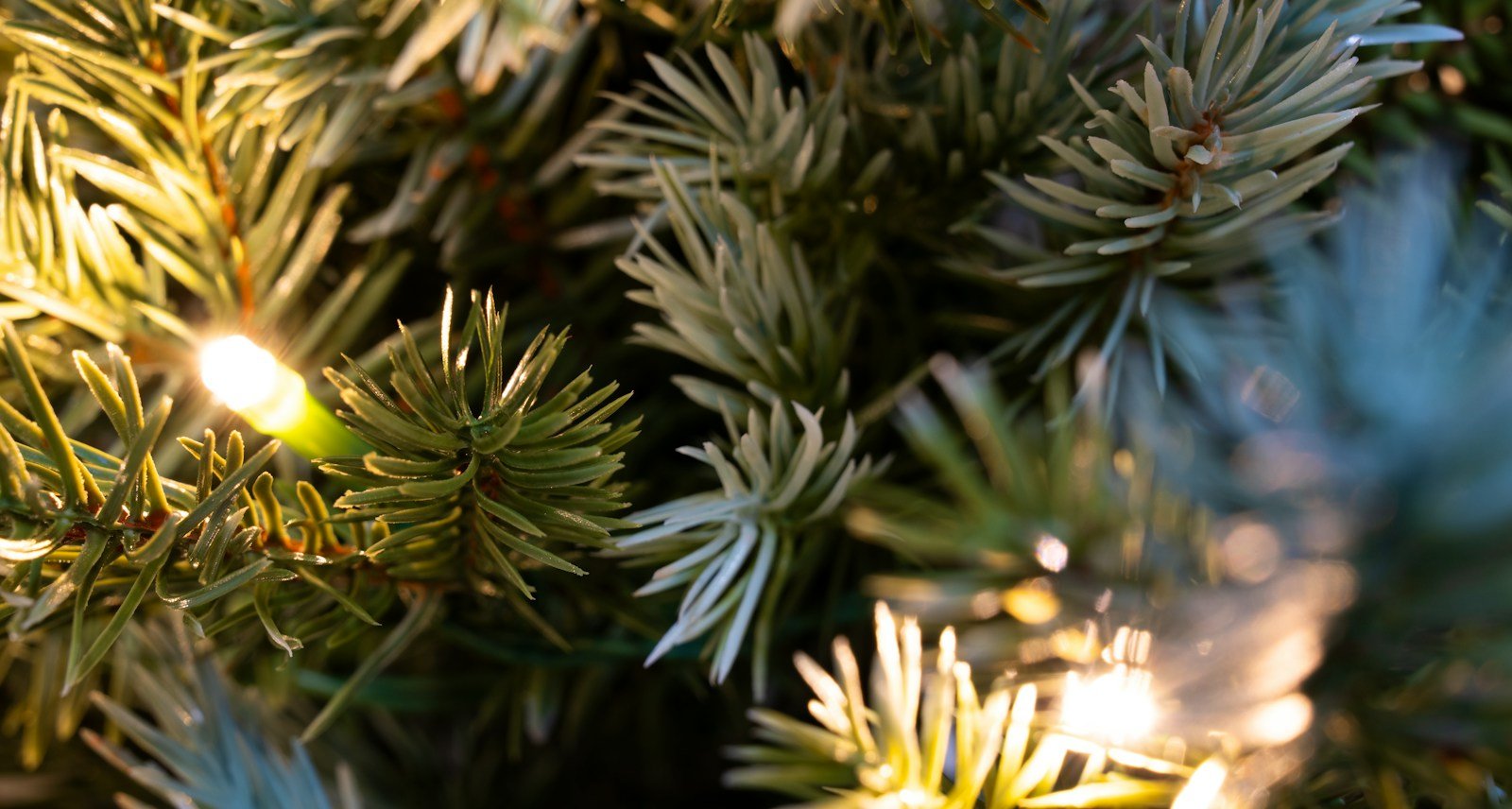 5ft/150cm Outdoor Wall Mounted Majestic Dew Pine Tree - Image 5