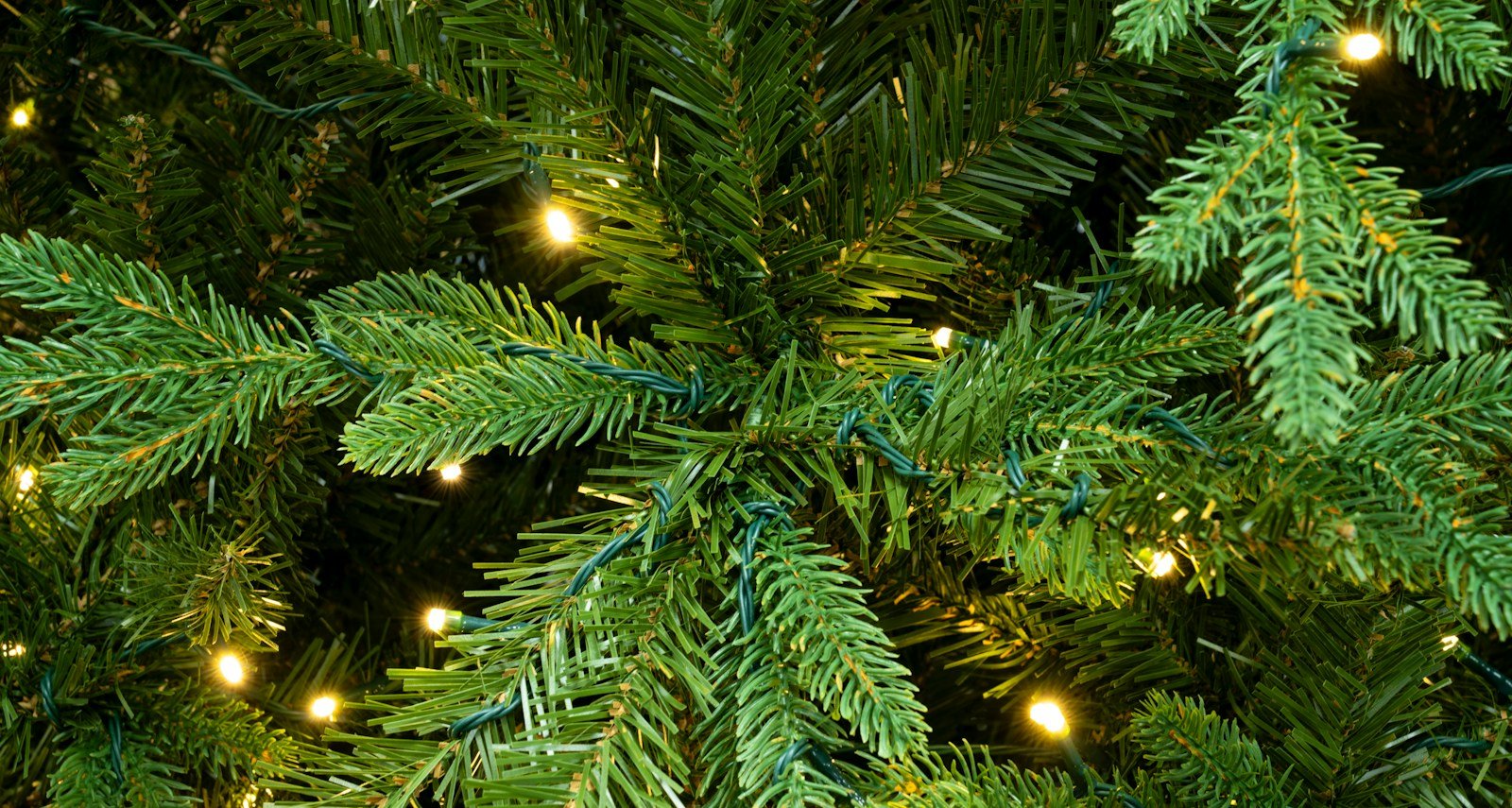 The Pre-lit Indoor/Outdoor Woodland Pine Tree - Warm White - Image 4