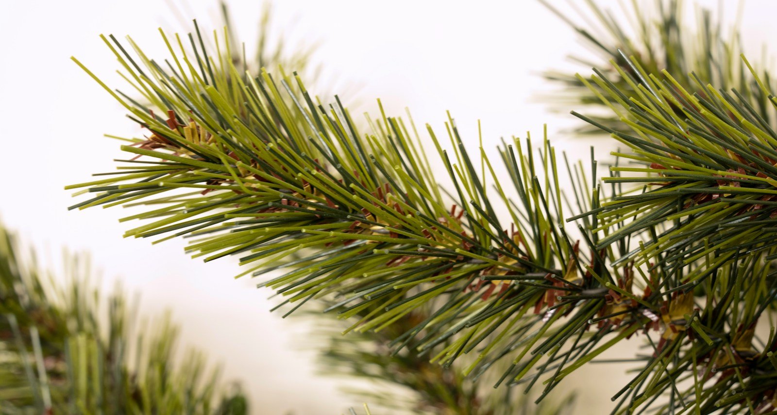 The 60cm Matterhorn Pine Wreath - Image 2