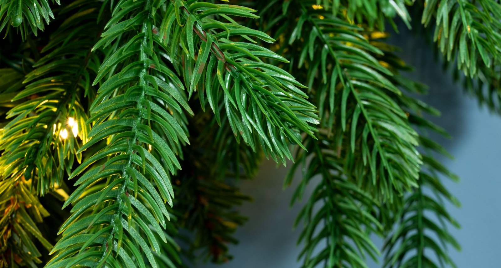 The Pre-lit 60cm Ultra Mountain Pine Wreath - Image 2