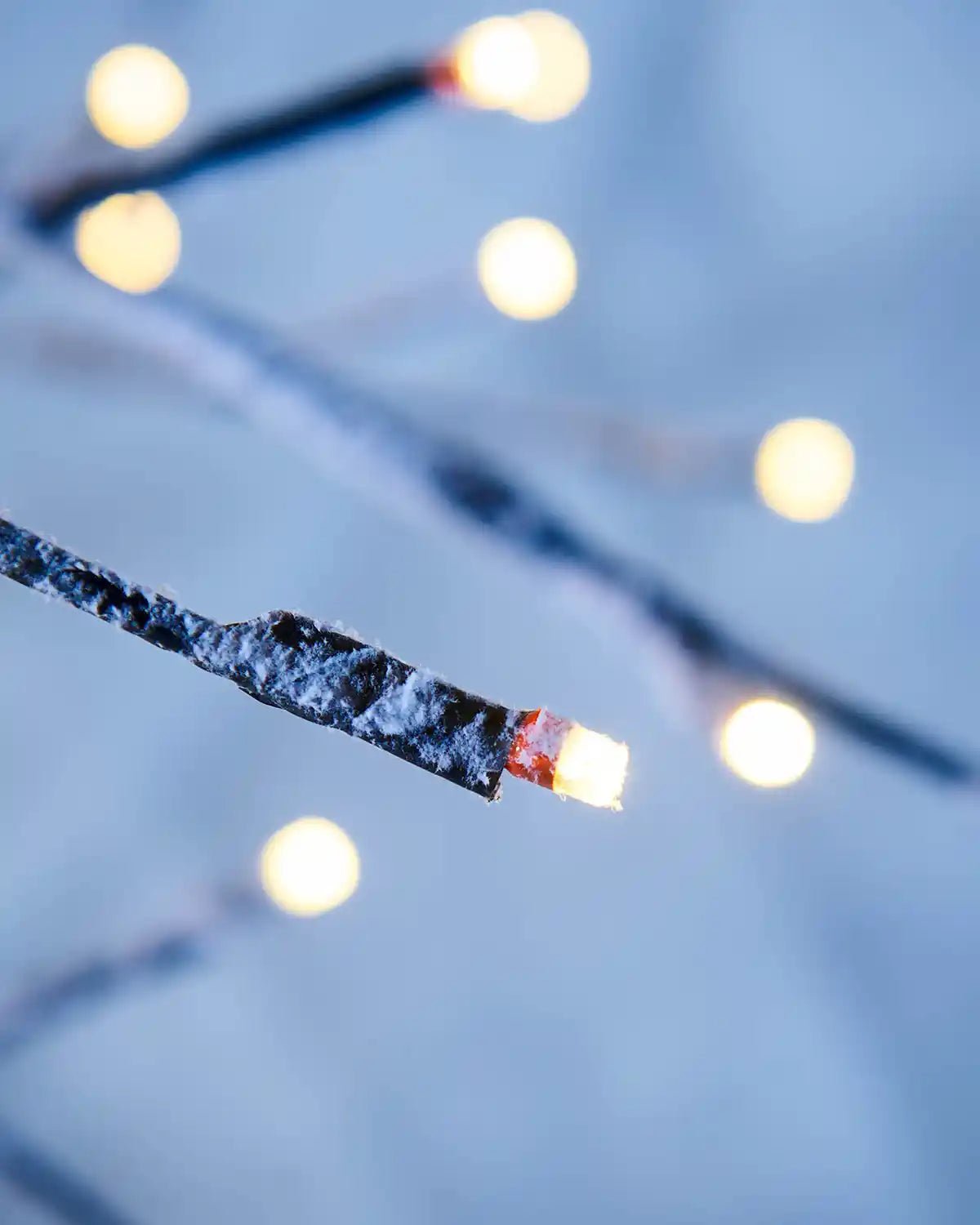 Pre-Lit Snow Flocked Twig Tree, 5 ft - Image 4