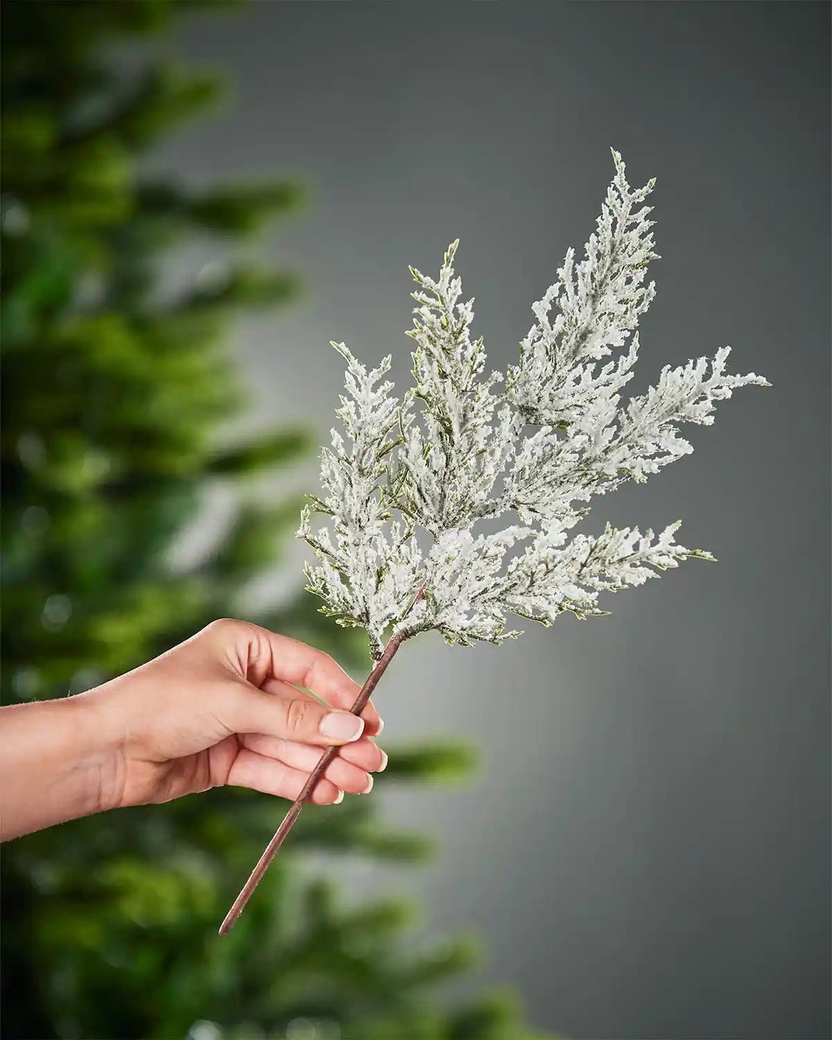 Set of 5 Snow-Flocked Cypress Picks, 40 cm - Image 4