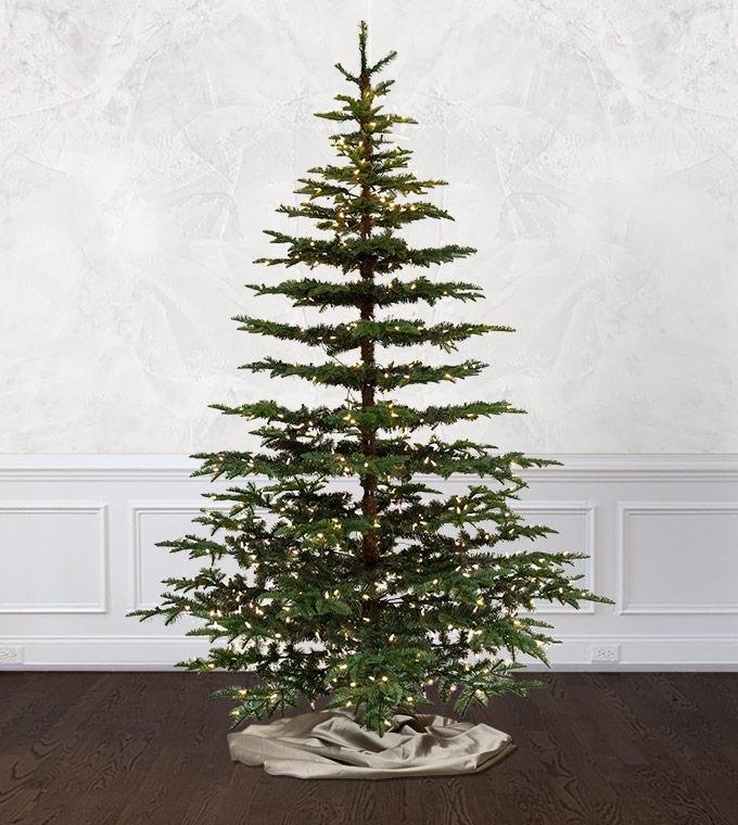 Bedford Balsam Fir - Image 5