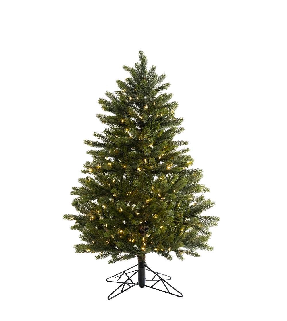 Claradon Pine - Image 5